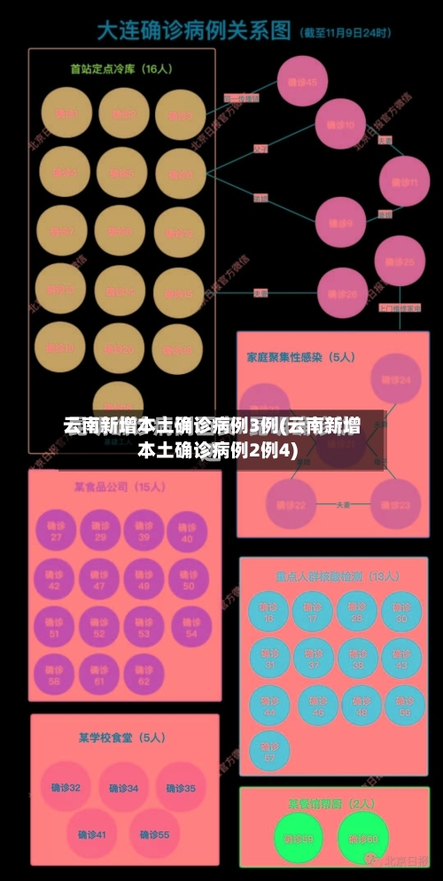 云南新增本土确诊病例3例(云南新增本土确诊病例2例4)