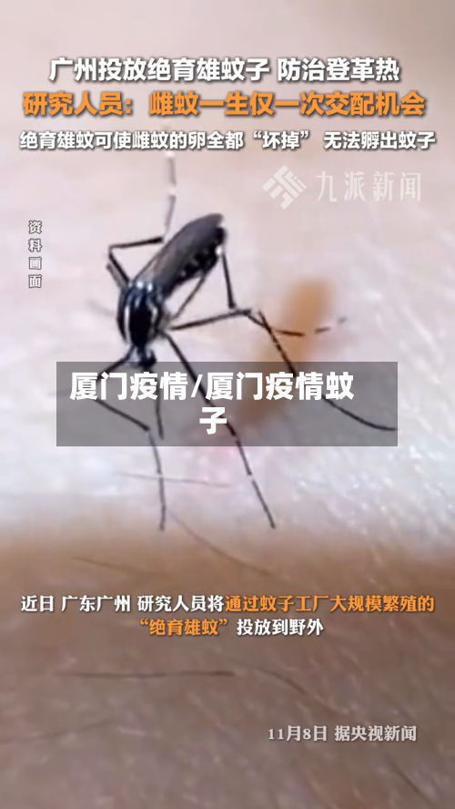 厦门疫情/厦门疫情蚊子