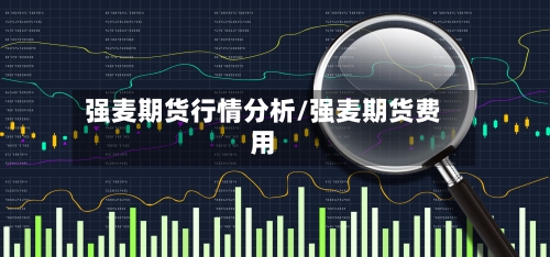 强麦期货行情分析/强麦期货费用