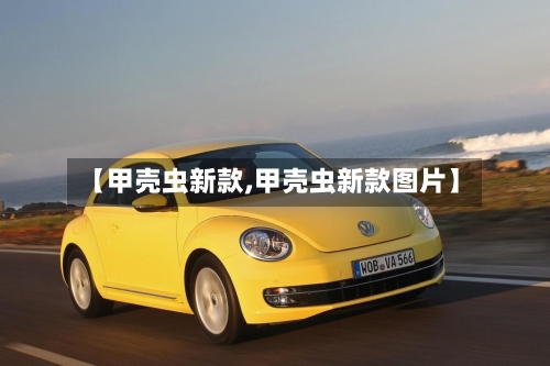 【甲壳虫新款,甲壳虫新款图片】