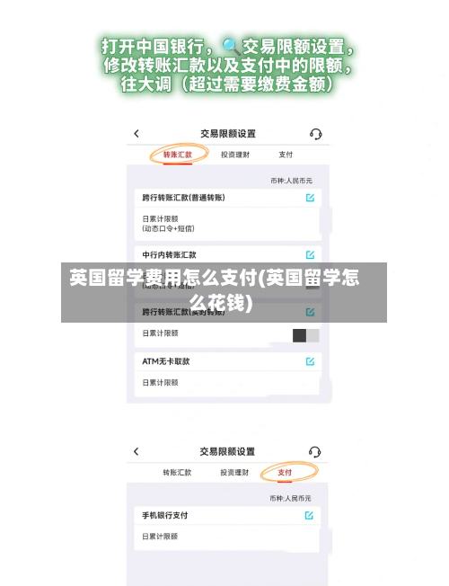 英国留学费用怎么支付(英国留学怎么花钱)-第2张图片