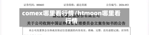 comex哪里看行情/htmoon哪里看行情-第3张图片