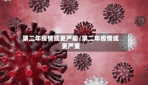 第二年疫情或更严峻/第二年疫情或更严重-第2张图片