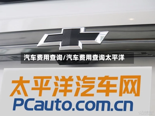 汽车费用查询/汽车费用查询太平洋