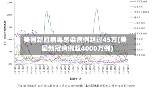 美国新冠病毒感染病例超过45万(美国新冠病例超4000万例)