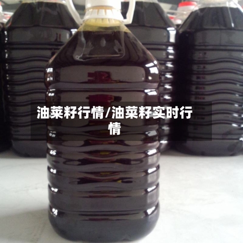 油莱籽行情/油菜籽实时行情