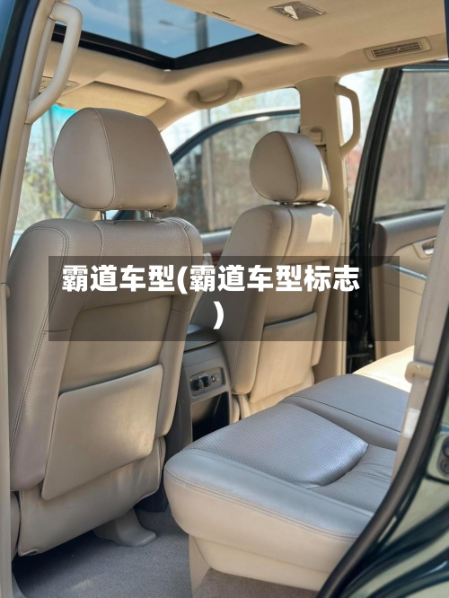 霸道车型(霸道车型标志)