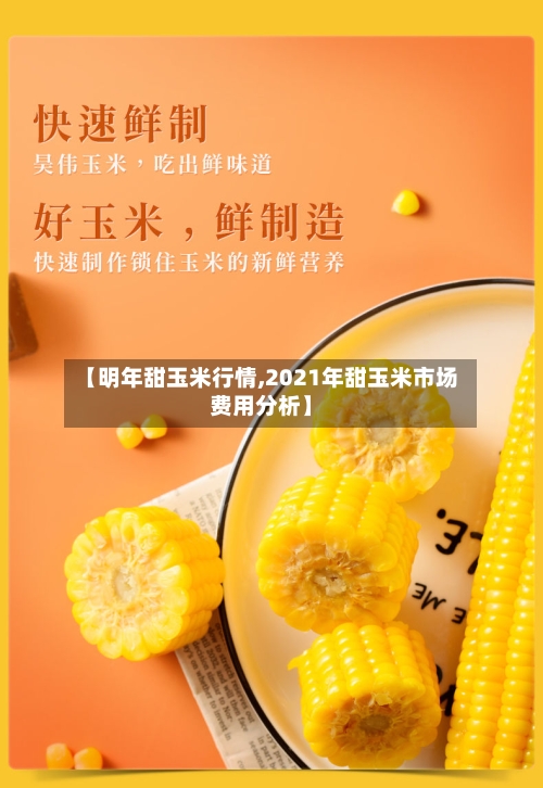 【明年甜玉米行情,2021年甜玉米市场费用分析】-第3张图片