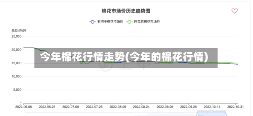 今年棉花行情走势(今年的棉花行情)-第3张图片