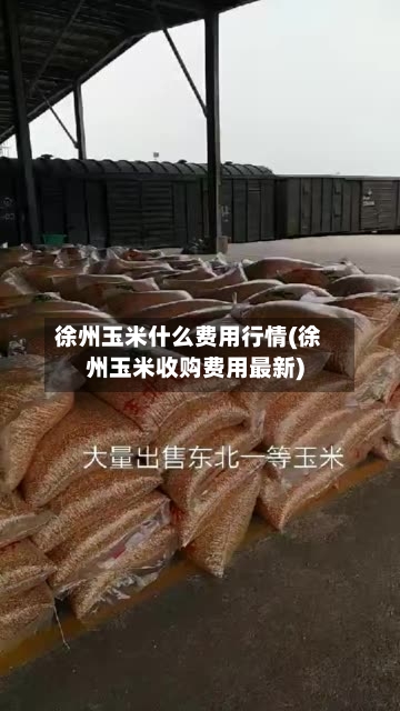 徐州玉米什么费用行情(徐州玉米收购费用最新)-第2张图片