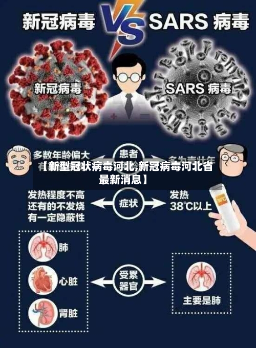 【新型冠状病毒河北,新冠病毒河北省最新消息】