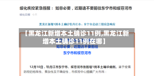 【黑龙江新增本土确诊11例,黑龙江新增本土确诊11例在哪】-第2张图片