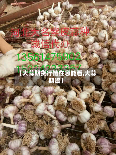 【大蒜期货行情在哪能看,大蒜 期货】-第2张图片