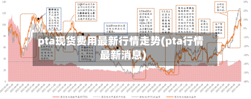 pta现货费用最新行情走势(pta行情最新消息)