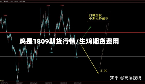 鸡是1809期货行情/生鸡期货费用-第2张图片