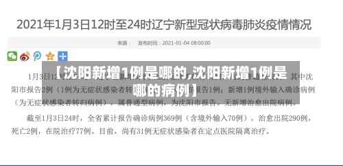 【沈阳新增1例是哪的,沈阳新增1例是哪的病例】