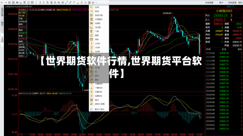 【世界期货软件行情,世界期货平台软件】