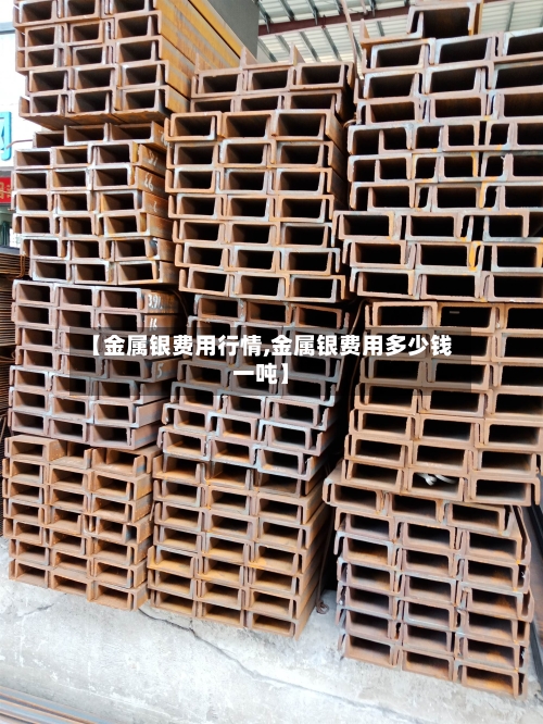 【金属银费用行情,金属银费用多少钱一吨】
