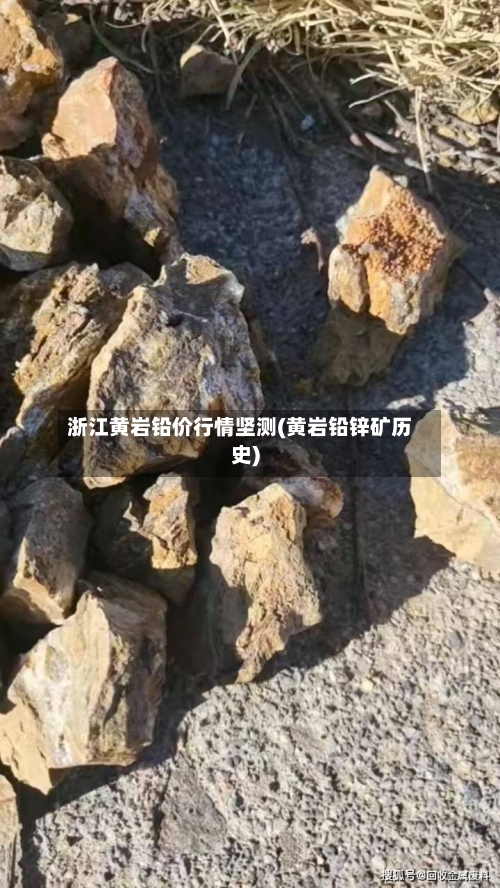 浙江黄岩铅价行情坚测(黄岩铅锌矿历史)