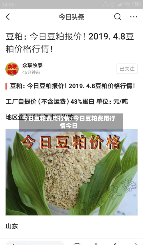 今日豆粕费用行情/今日豆粕费用行情今日-第2张图片
