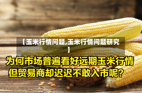 【玉米行情问题,玉米行情问题研究】