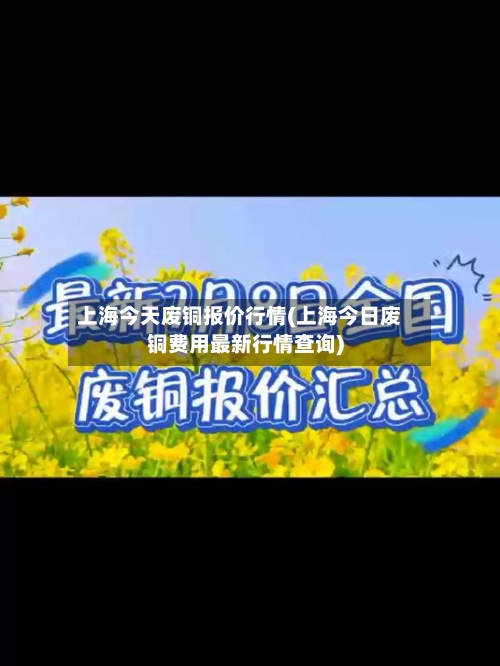 上海今天废铜报价行情(上海今日废铜费用最新行情查询)