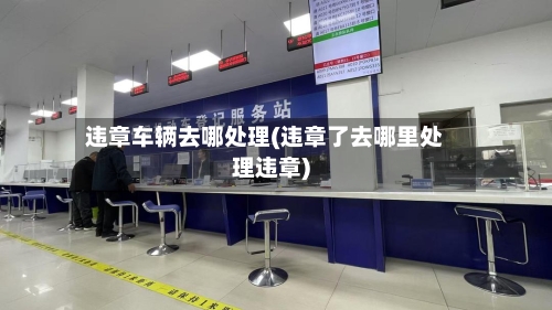 违章车辆去哪处理(违章了去哪里处理违章)