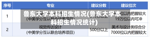 鲁东大学本科招生情况(鲁东大学本科招生情况统计)
