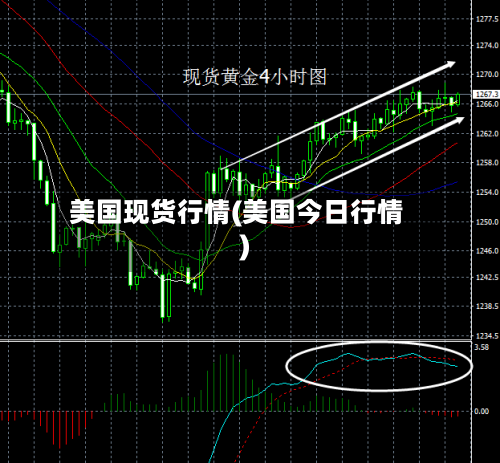 美国现货行情(美国今日行情)