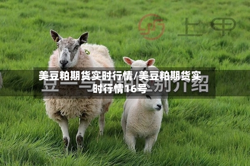美豆粕期货实时行情/美豆粕期货实时行情16号-第2张图片