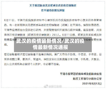 武汉的疫情最新情况/武汉的疫情最新情况通报