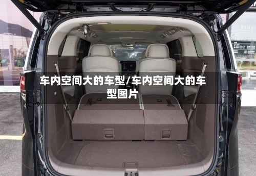 车内空间大的车型/车内空间大的车型图片