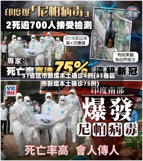 31省区市新增本土确诊4例(31省区市新增本土确诊75例)-第3张图片