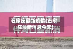 石家庄最新疫情(石家庄最新消息今天)-第2张图片