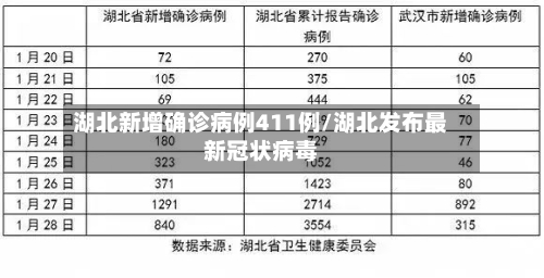 湖北新增确诊病例411例/湖北发布最新冠状病毒-第2张图片