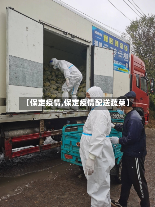 【保定疫情,保定疫情配送蔬菜】-第2张图片