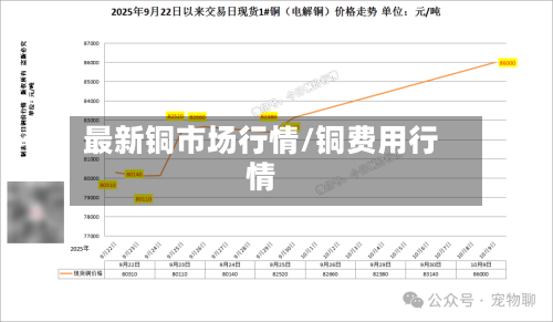 最新铜市场行情/铜费用行情