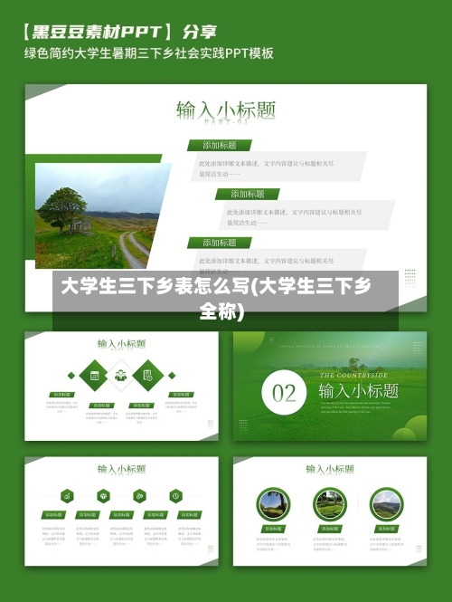 大学生三下乡表怎么写(大学生三下乡全称)-第2张图片