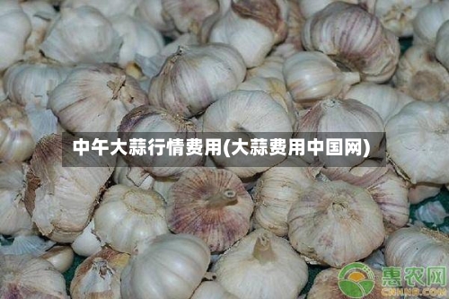 中午大蒜行情费用(大蒜费用中国网)-第2张图片