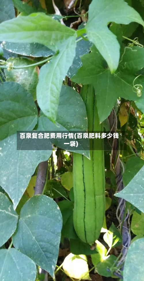百泉复合肥费用行情(百泉肥料多少钱一袋)-第2张图片