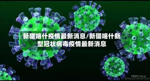 新疆喀什疫情最新消息/新疆喀什新型冠状病毒疫情最新消息-第3张图片