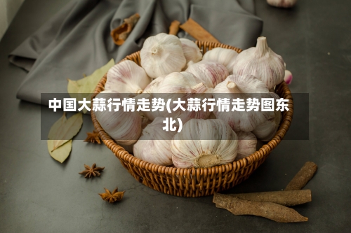 中国大蒜行情走势(大蒜行情走势图东北)