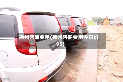 扬州汽油费用(扬州汽油费用今日价95)-第3张图片