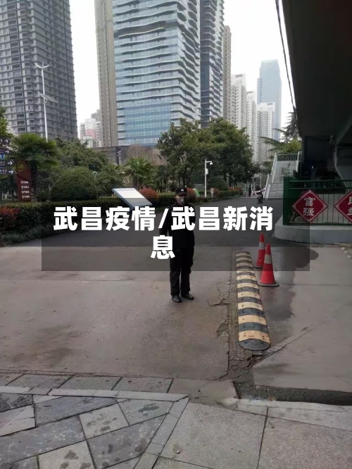 武昌疫情/武昌新消息