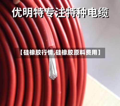 【硅橡胶行情,硅橡胶原料费用】-第2张图片