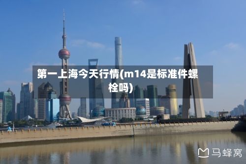第一上海今天行情(m14是标准件螺栓吗)-第2张图片