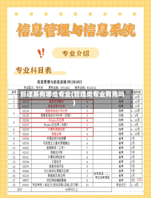 管理系有哪些专业(管理类专业有用吗)-第2张图片