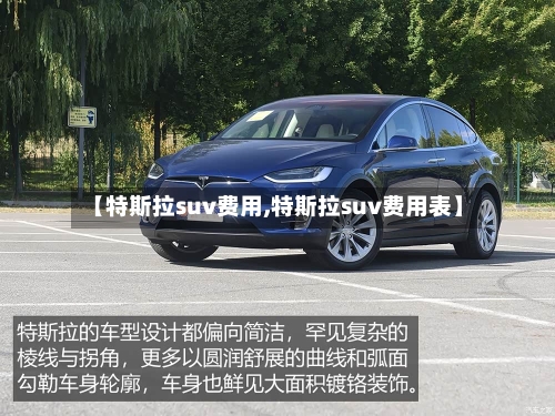 【特斯拉suv费用,特斯拉suv费用表】