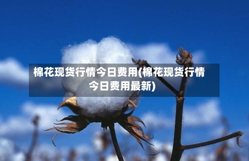 棉花现货行情今日费用(棉花现货行情今日费用最新)