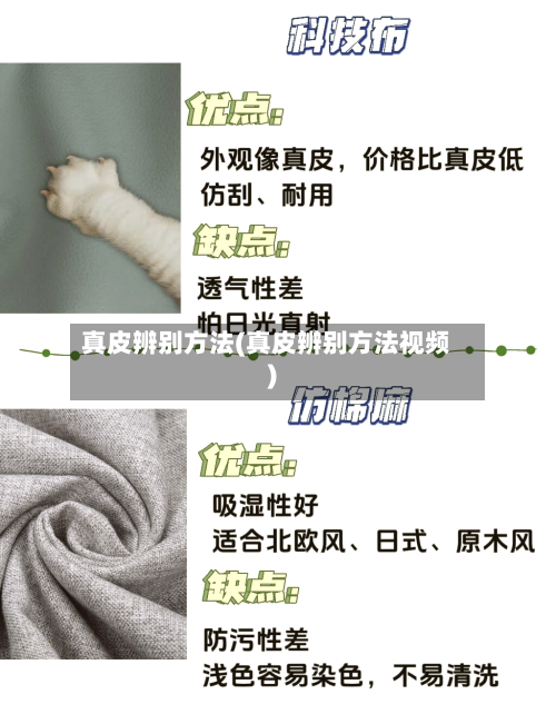 真皮辨别方法(真皮辨别方法视频)